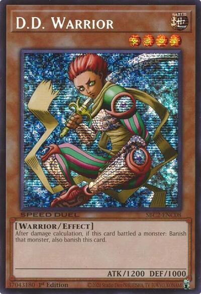 D.D. Warrior (PSR)