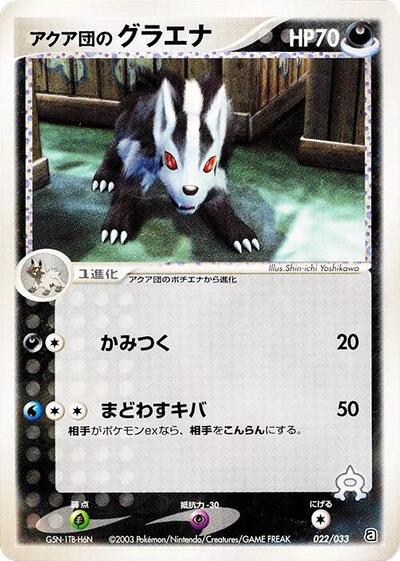 Team Aqua's Mightyena - 022/033
