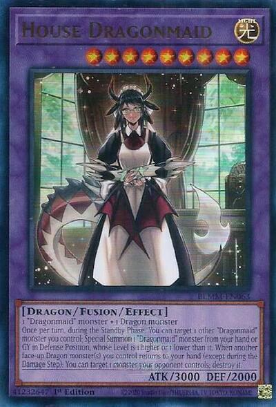 House Dragonmaid
