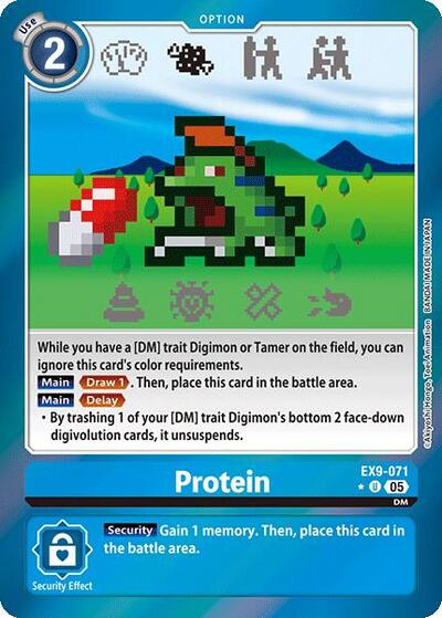 Protein (Limited Foil)