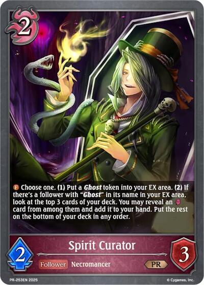 Spirit Curator