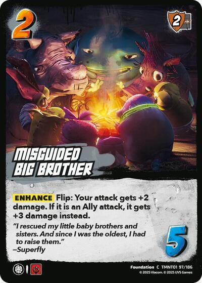 Misguided Big Brother