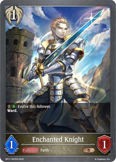 Enchanted Knight