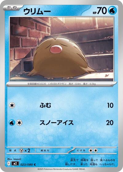 Swinub