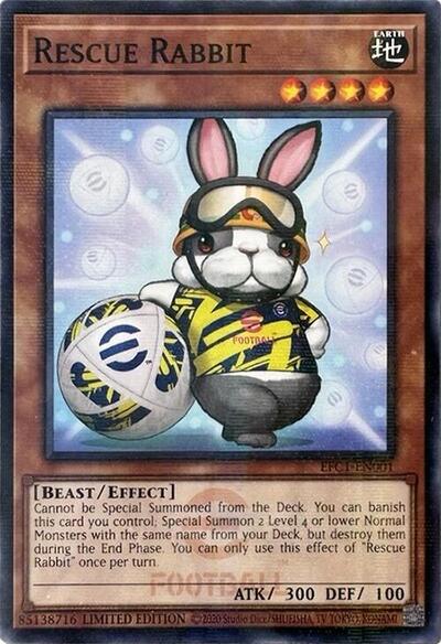 Rescue Rabbit