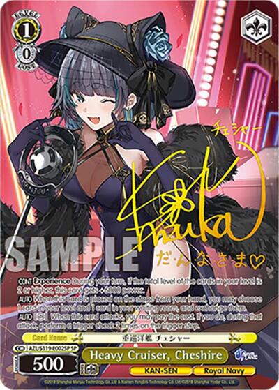 Heavy Cruiser, Cheshire (SP)