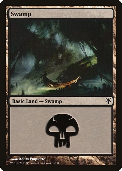 Swamp (36)