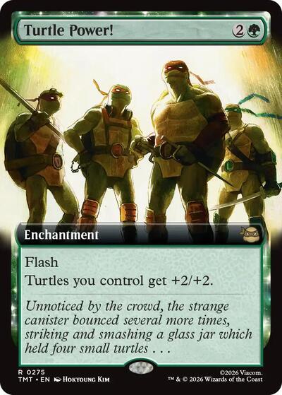 Turtle Power! (Extended Art)