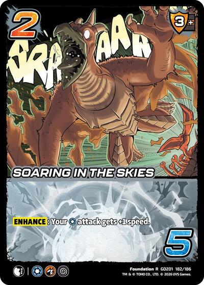 Soaring in the Skies