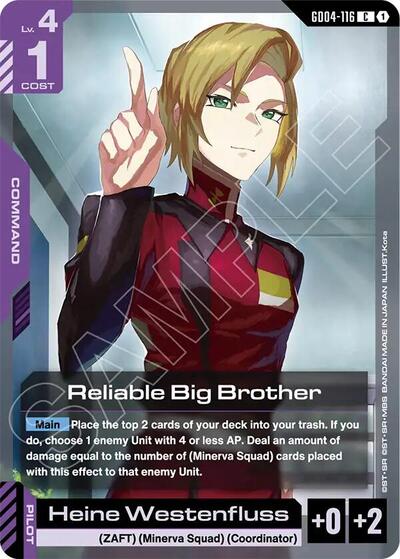 Reliable Big Brother