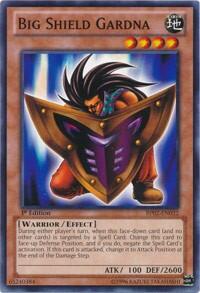 Big Shield Gardna