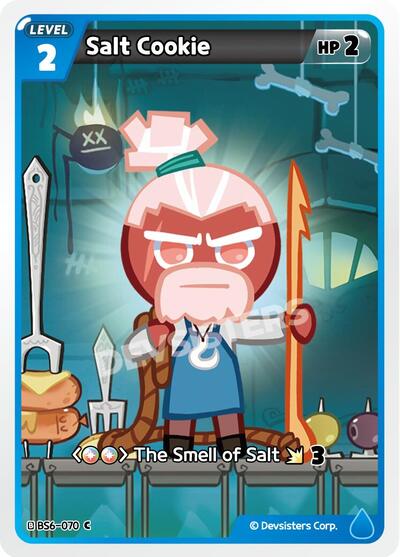 Salt Cookie