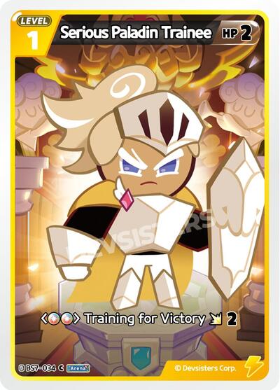Serious Paladin Trainee
