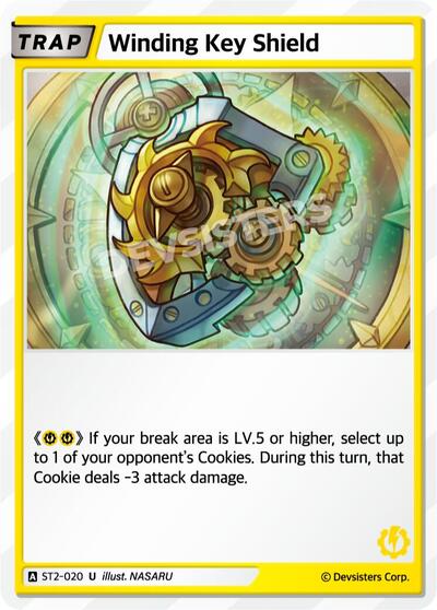 Winding Key Shield