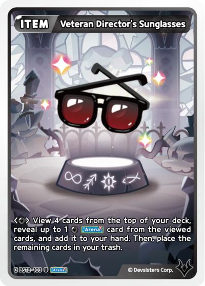 Veteran Director's Sunglasses