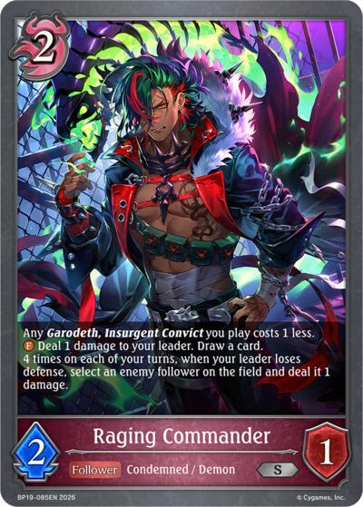 Raging Commander
