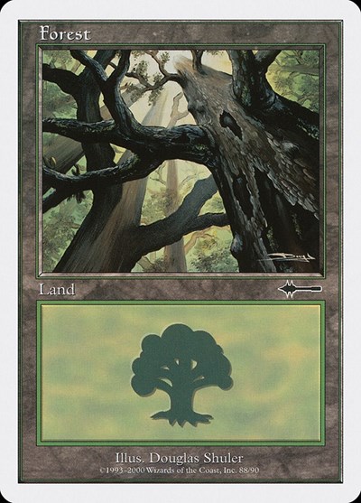Forest (88)