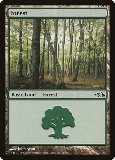 Forest (29)