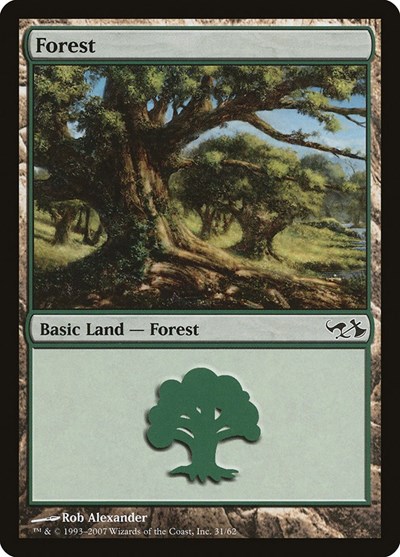 Forest (31)