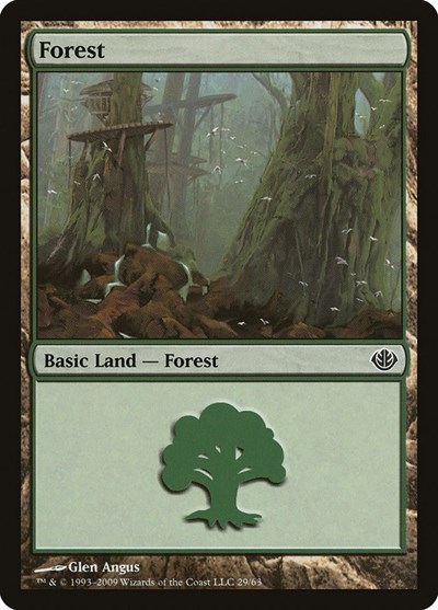 Forest (29)