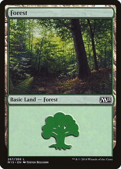 Forest (267)