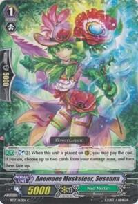 Anemone Musketeer, Susanna